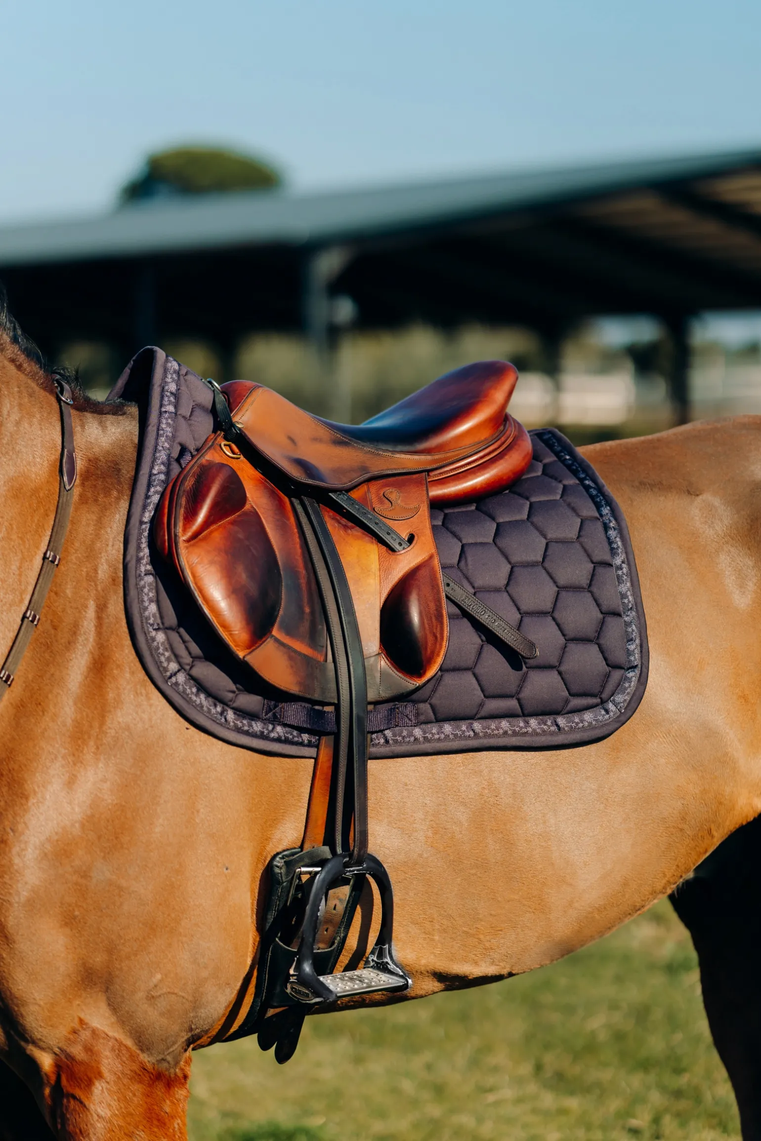 * Kaitlin Yleissatulahuopa Kukallisilla Tereilla