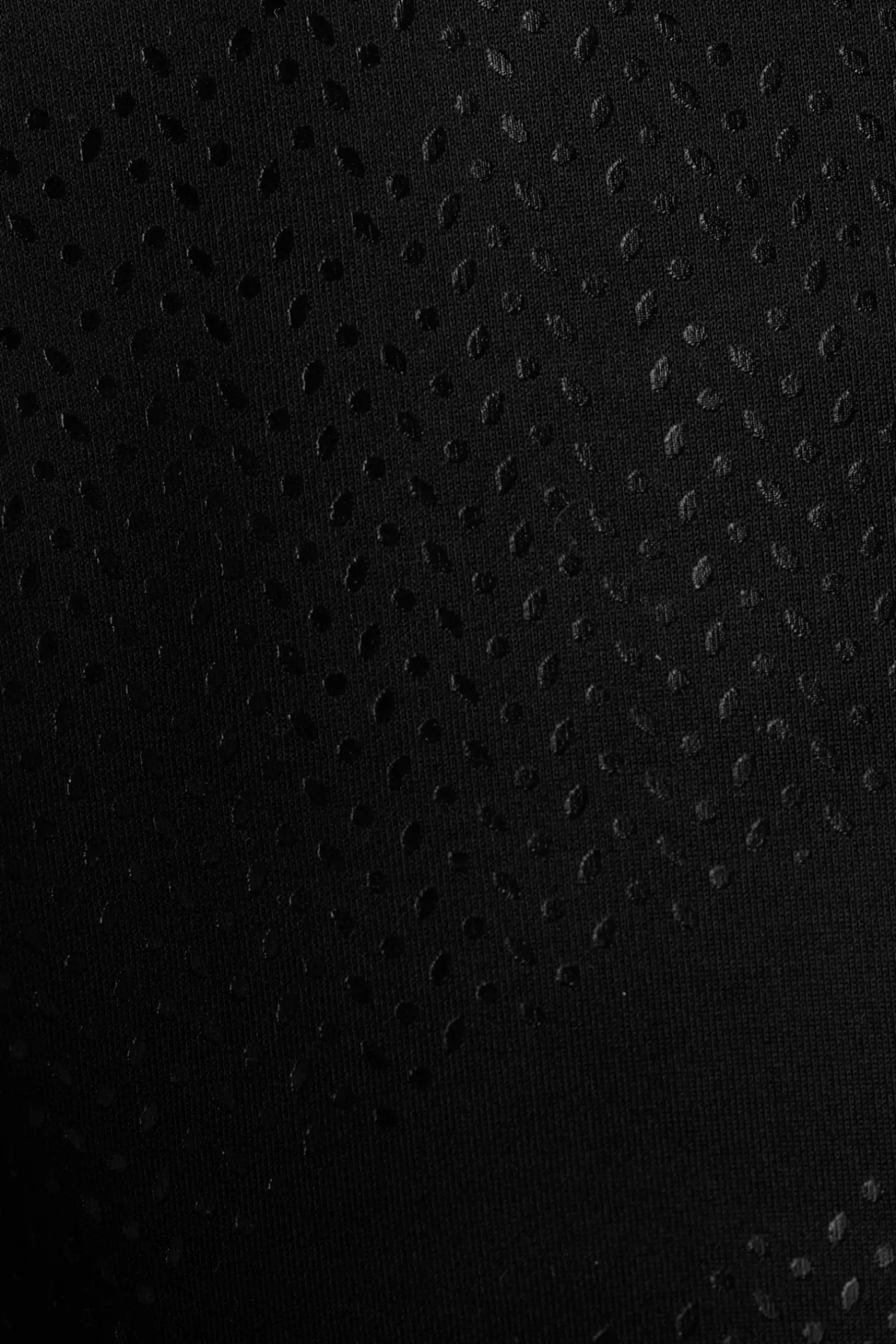 B Vertigo Natasha Naisten KorkeaVyötaroiset Ratsastushousut Kokopaikoilla