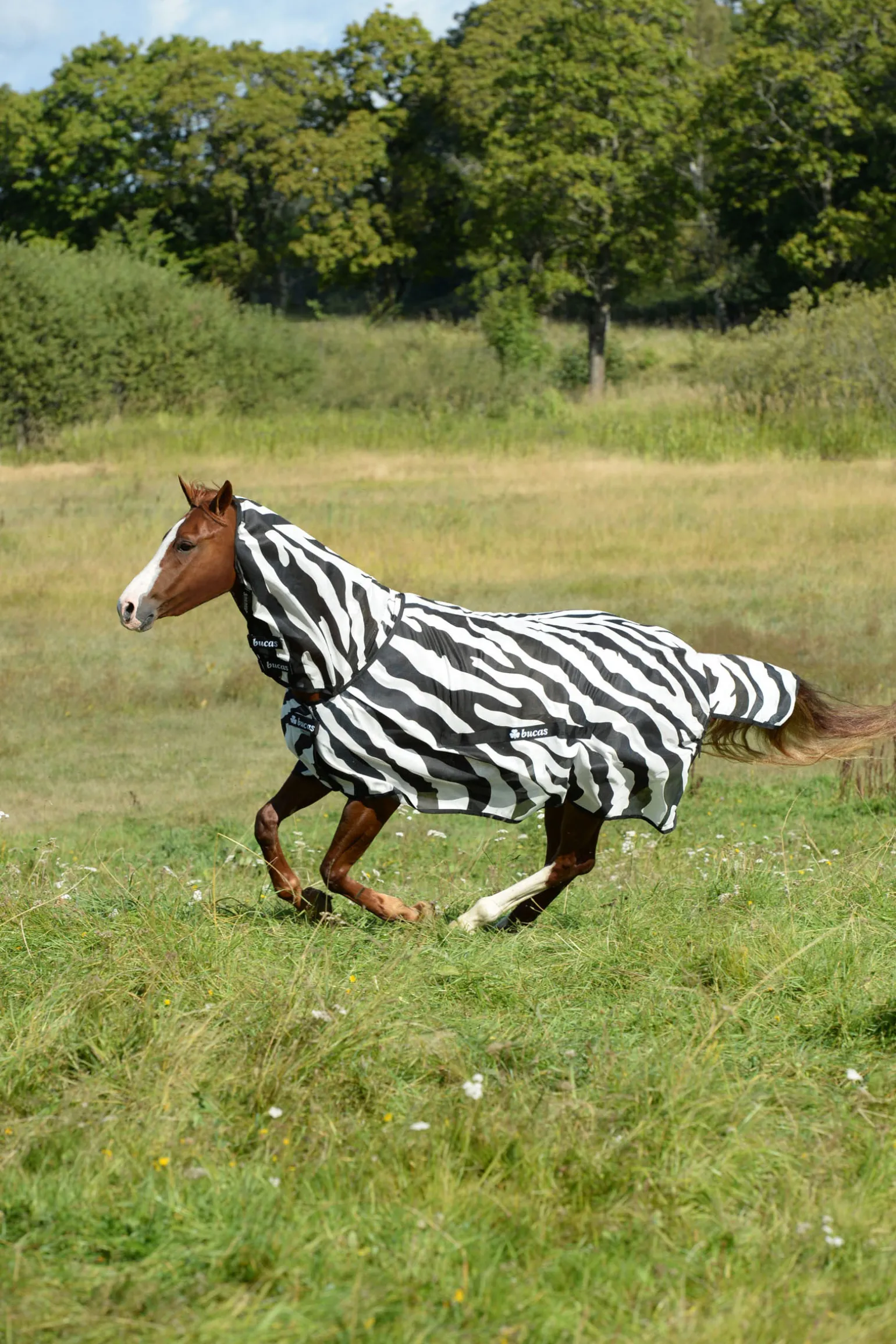 Bucas Buzz-Off Zebra Kaulakappaleella