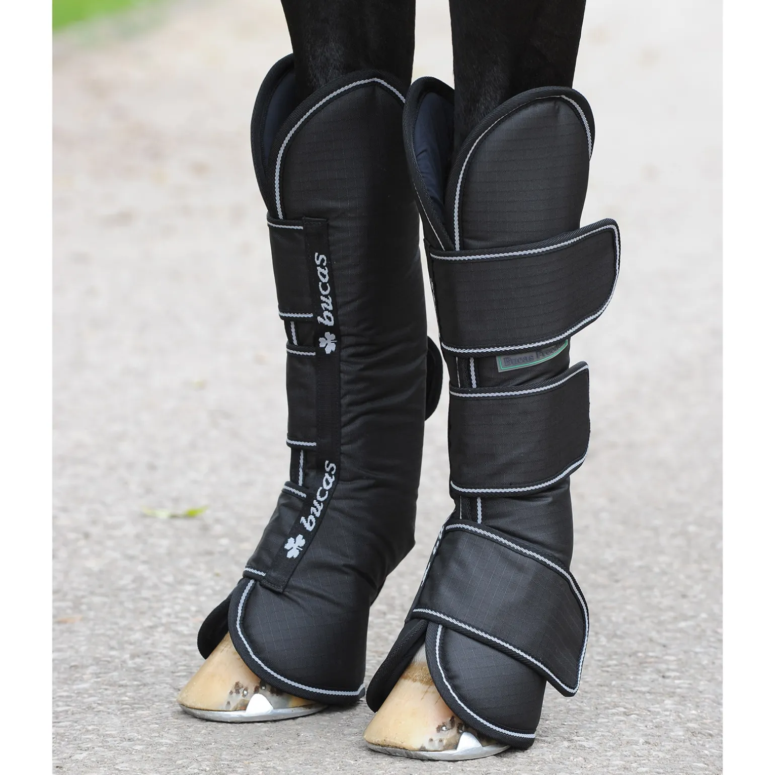 Bucas Freedom Boots