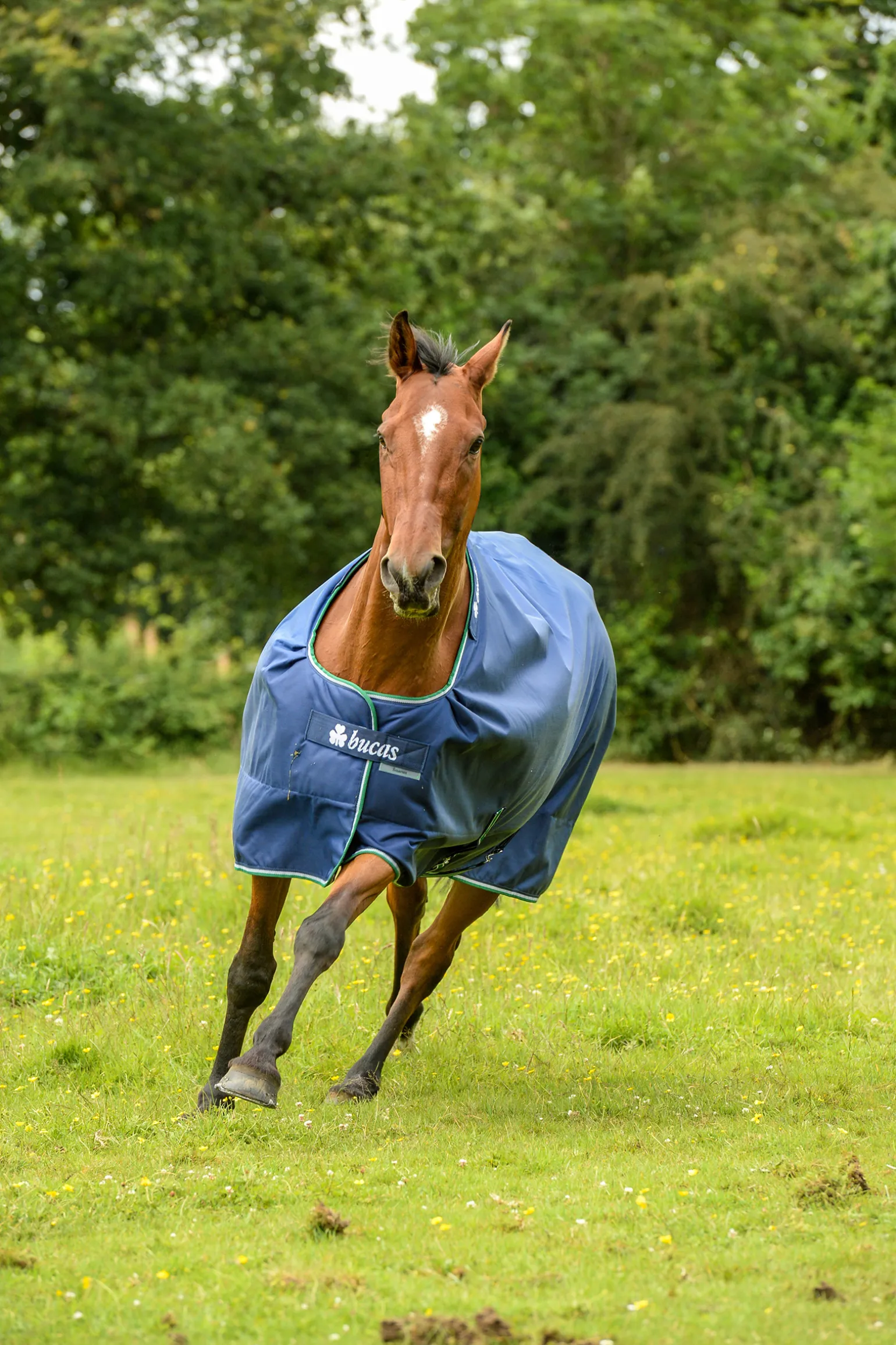 Bucas Smartex Big Neck -Sadeloimi