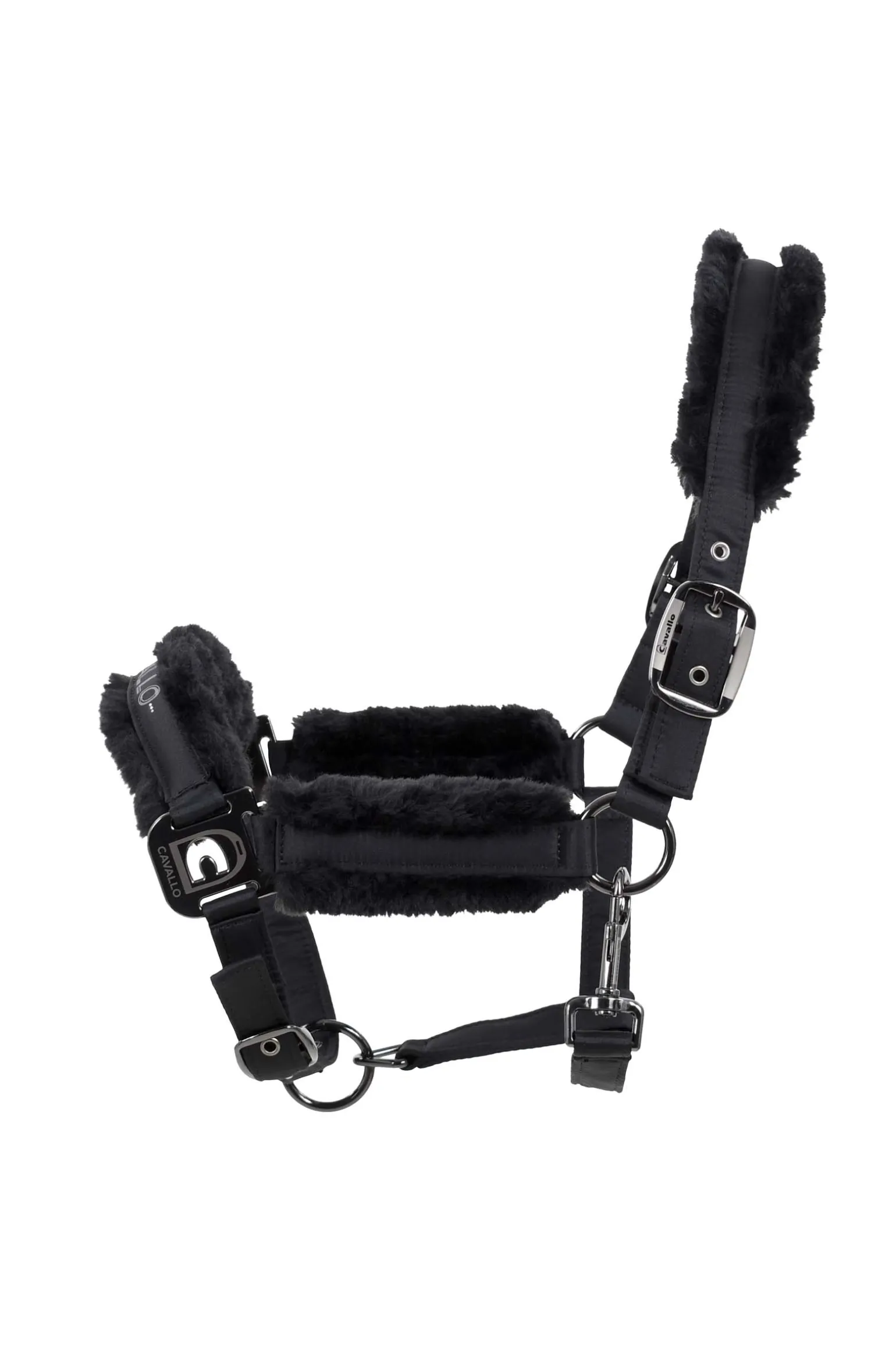 Cavallo Hafida Riimu