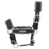 Cavallo Henny Riimu