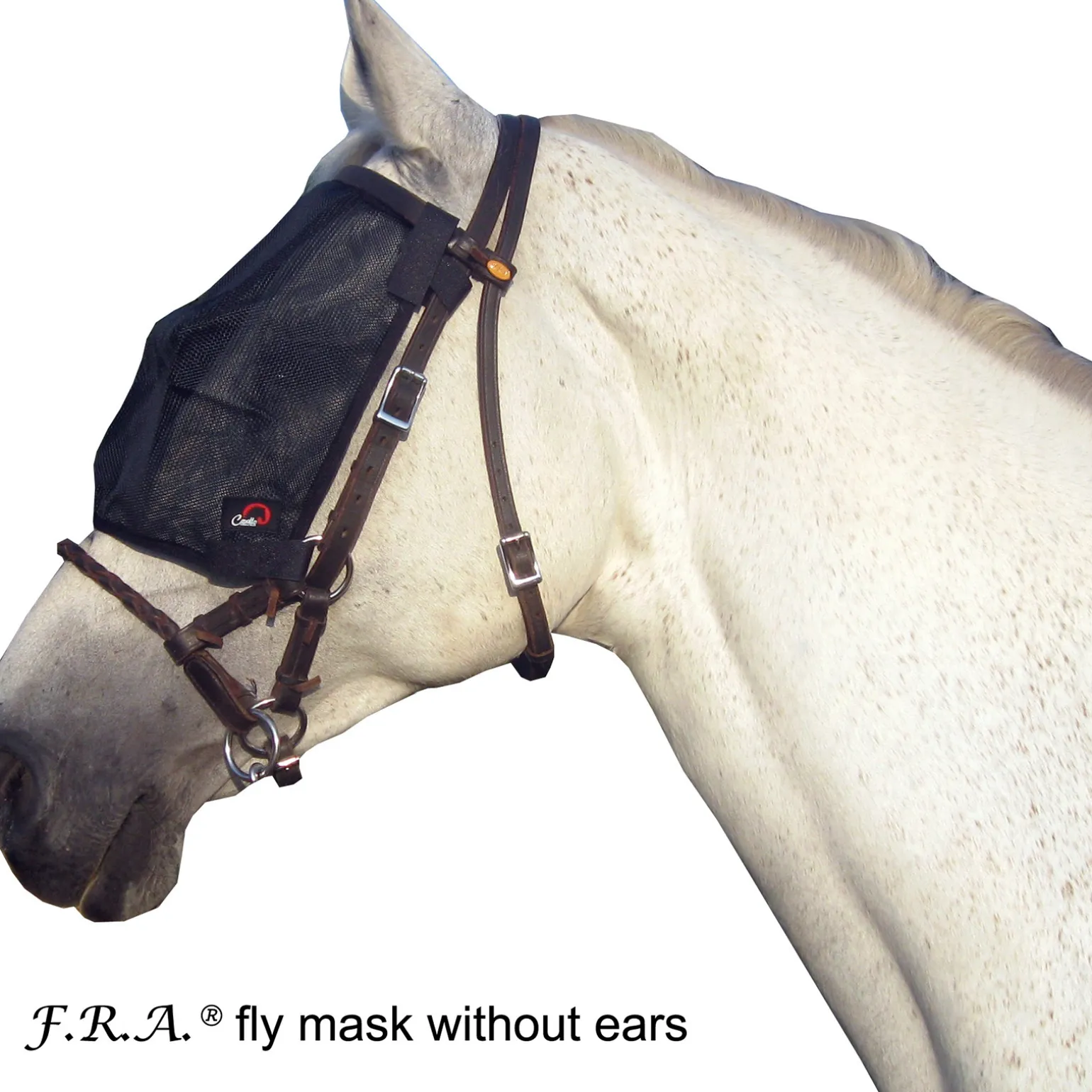 F.R.A. Cavallo Karpashuppu