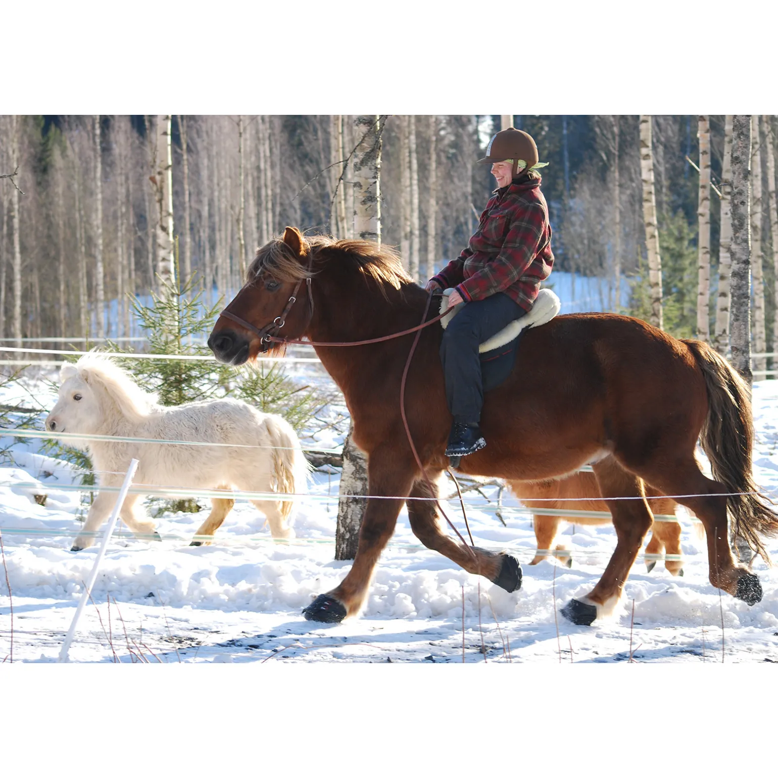F.R.A. Cavallo Simple Slim Bootsit