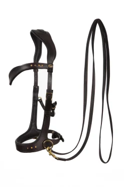 F.R.A. Glory Sidepull Suitset (System 3), Ruskeat