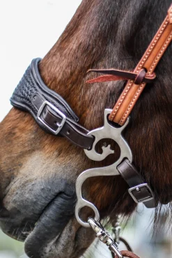 F.R.A. Music Set Hackamore Ss, 140 Mm