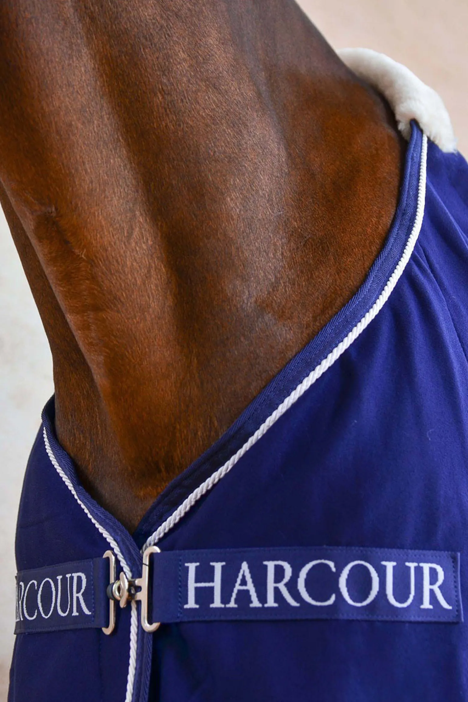 Harcour Cancale Cooleri