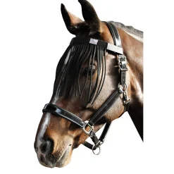 Harry'S Horse Karpashapsu