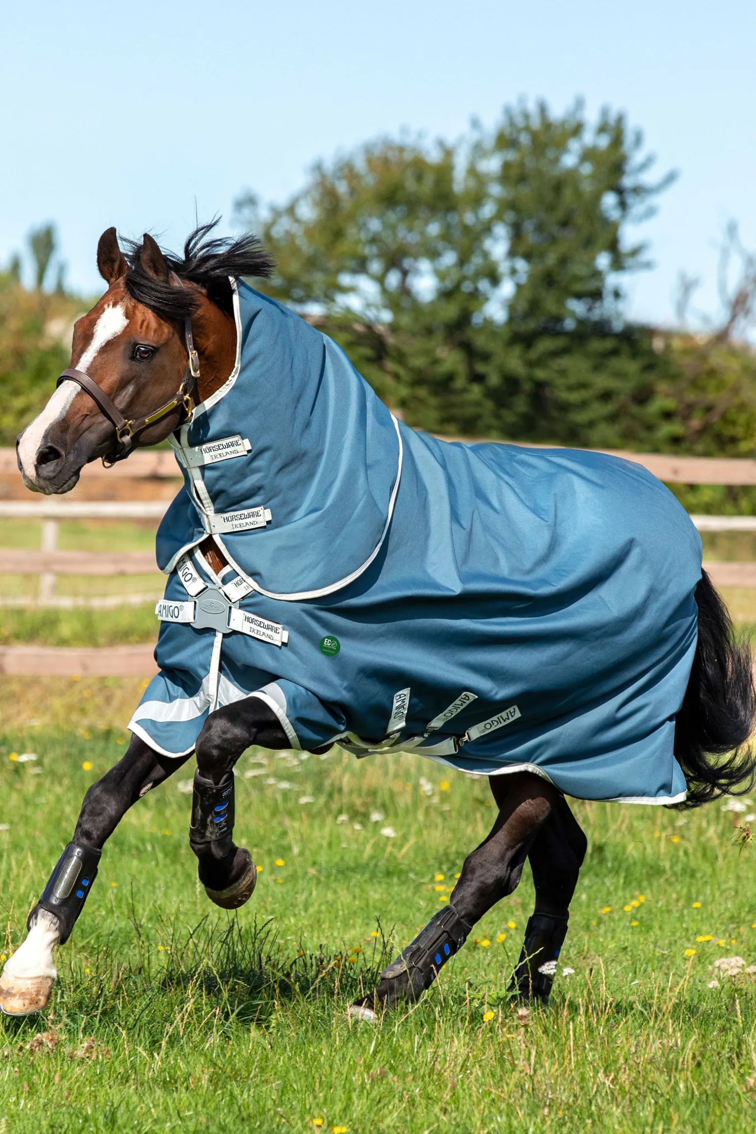 Horseware Ameco Bravo 12 Plus Ulkoloimi Irrotettavalla Kaulakappaleella, 100 G