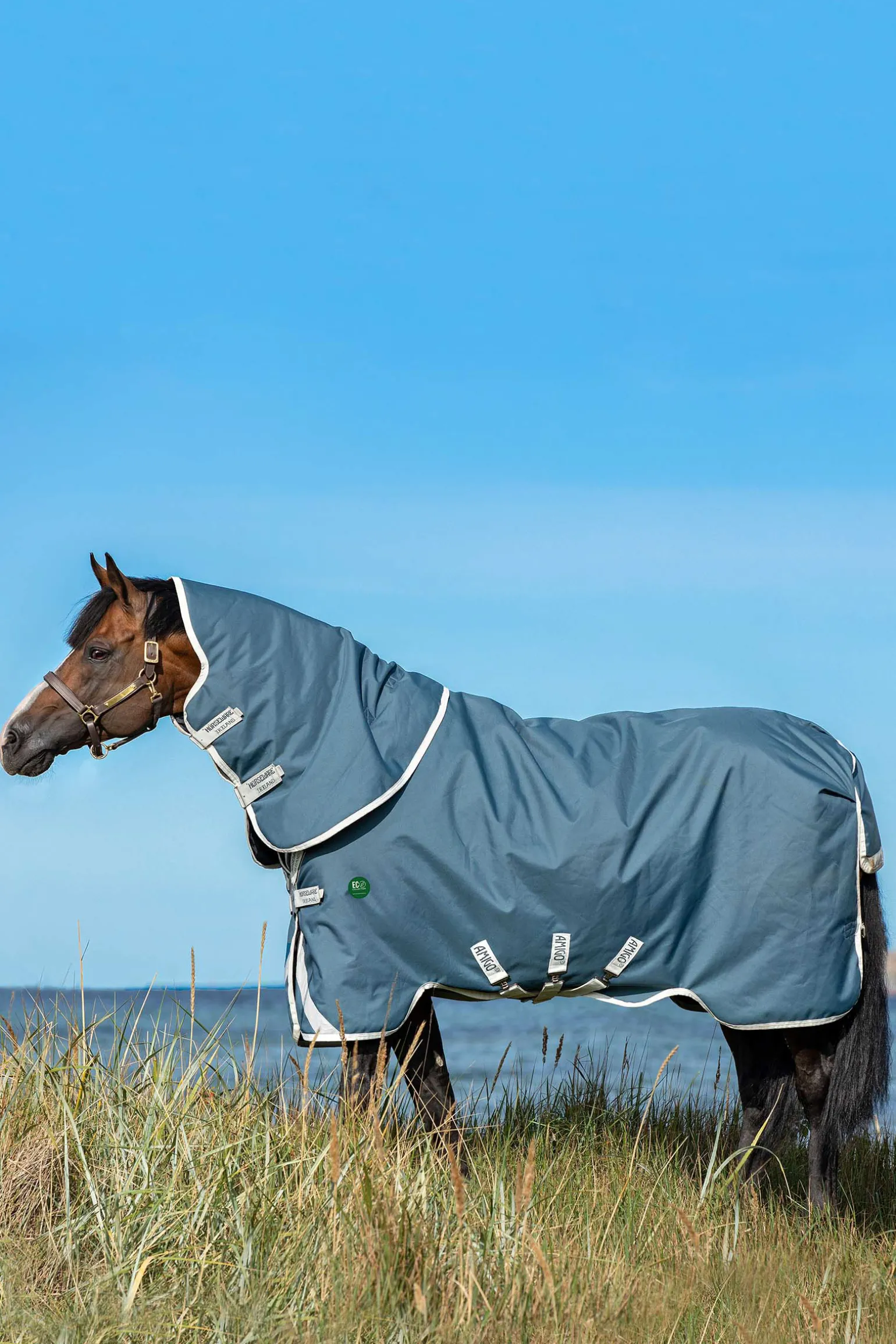 Horseware Ameco Bravo 12 Plus Ulkoloimi Irrotettavalla Kaulakappaleella, 100 G