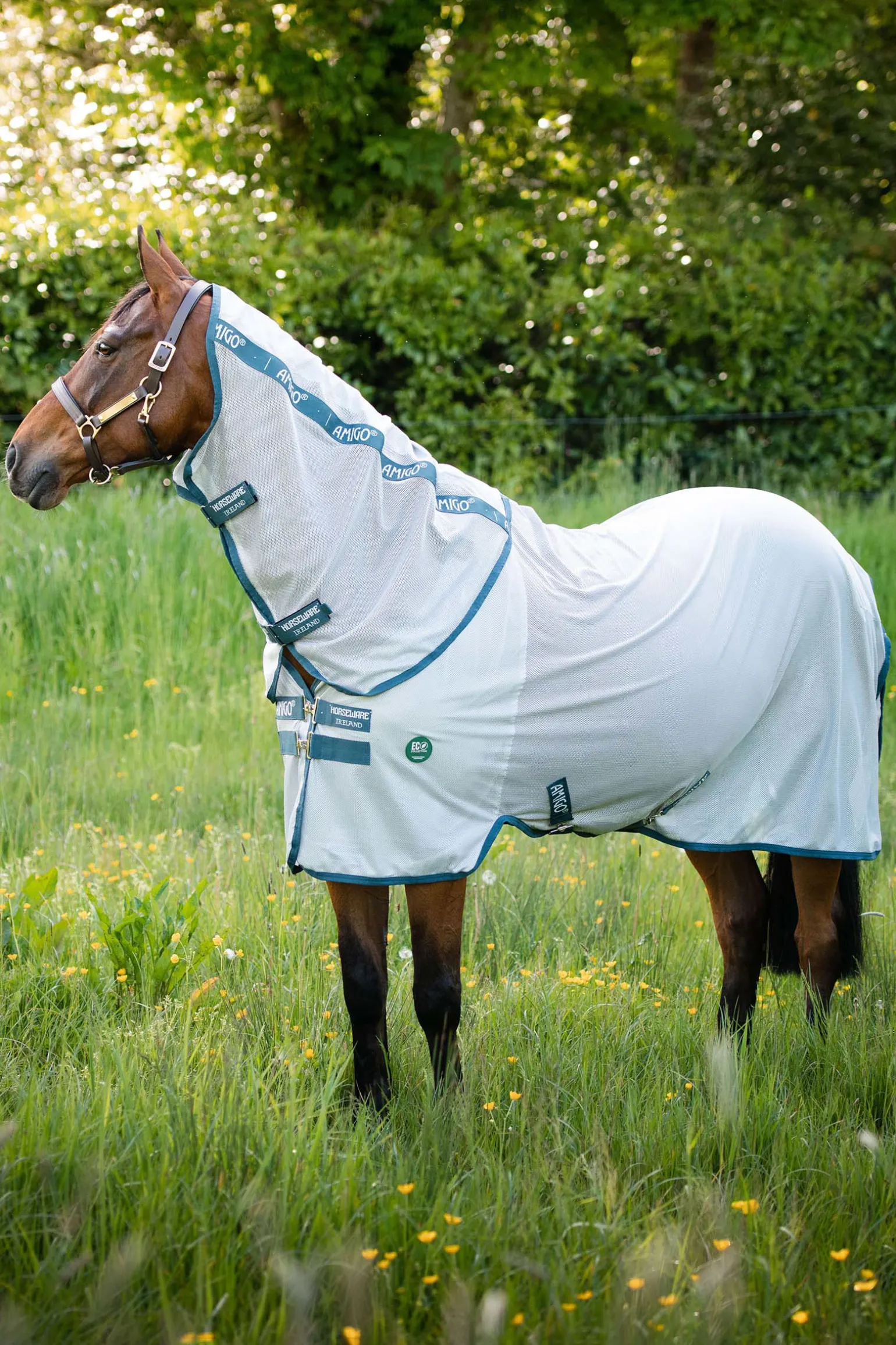 Horseware Ameco Hyonteisloimi