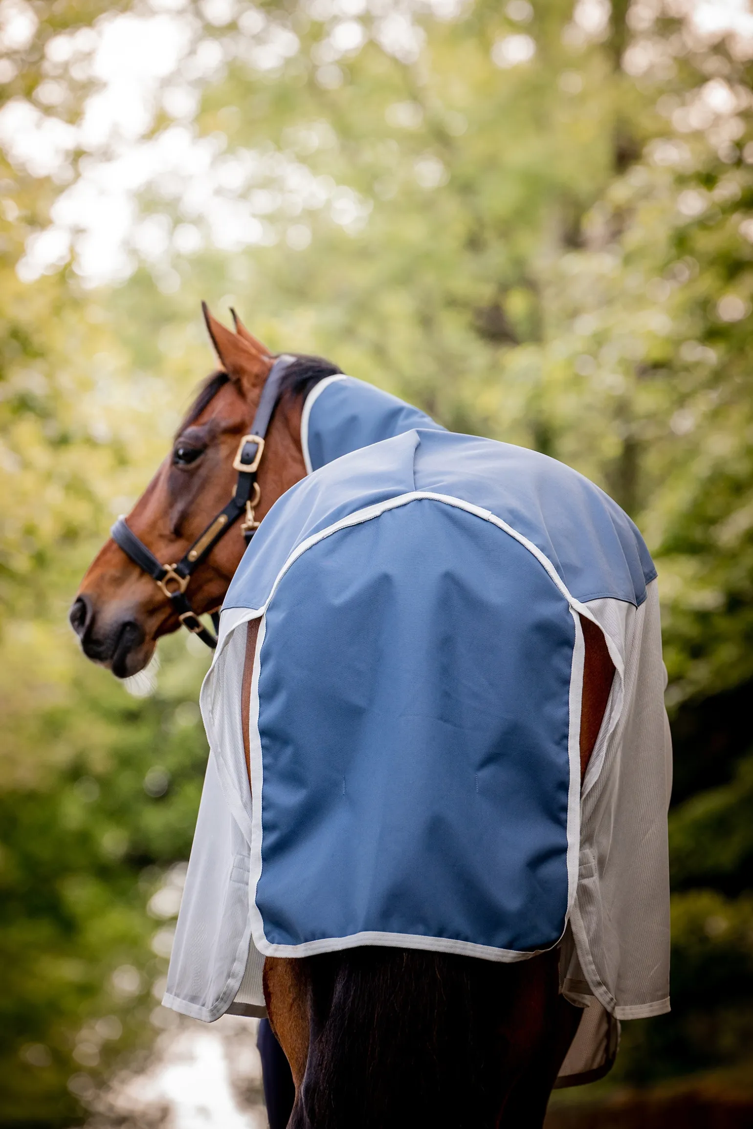Horseware Amigo Ameco Combi Loimi