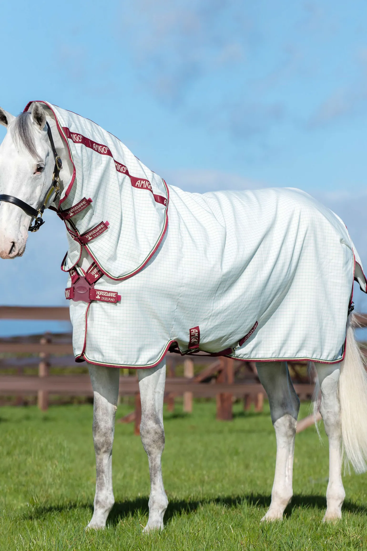 Horseware Amigo Aussie Karpasloimi Levykiinnityksella