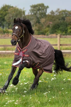 Horseware Amigo Bravo 12T/Olite Discfrn -Loimi, 0G