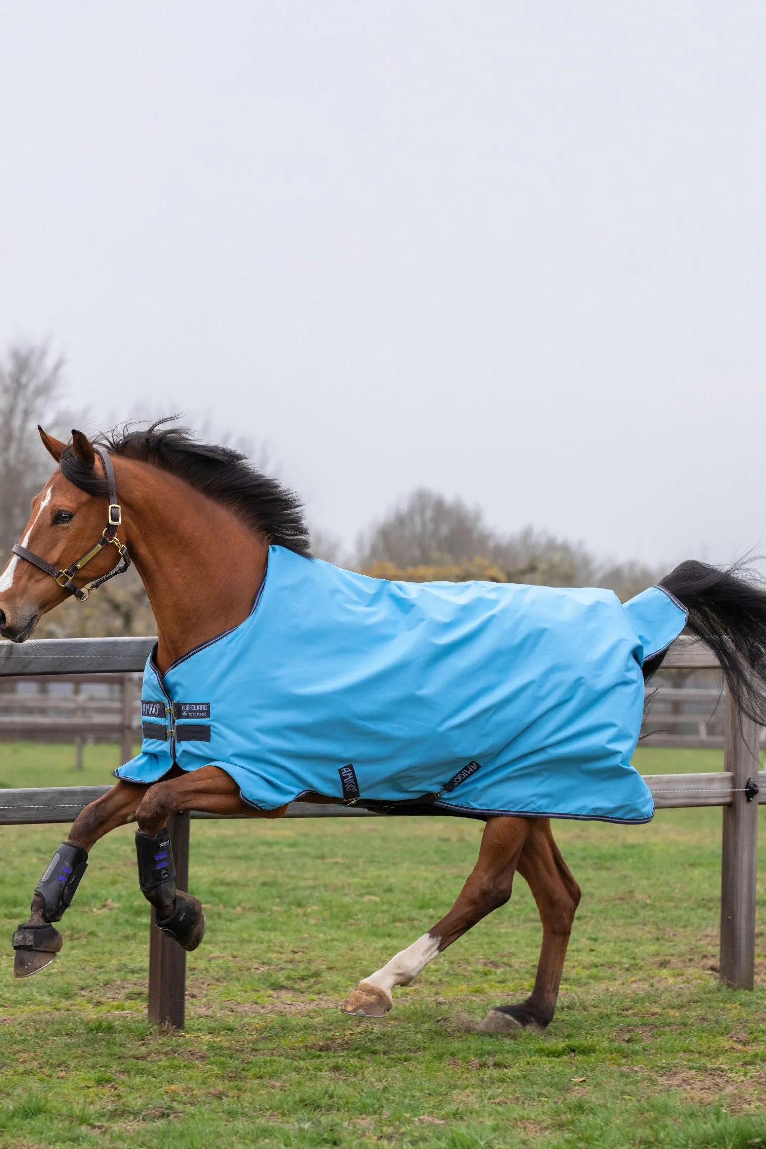 Horseware Amigo Hero 900 T/O Lite Ulkoloimi, 0 G
