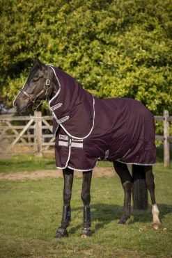 Horseware Amigo Hero Ripstop Plus Medium Ulkoloimi Irrotettavalla Kaulakappaleella, 200 G