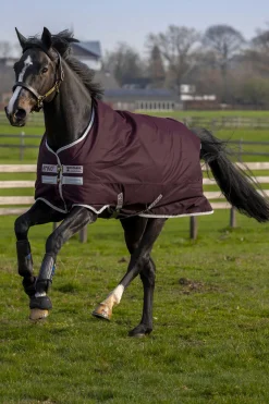 Horseware Amigo Hero Ripstop Fleecevuorella 50 G