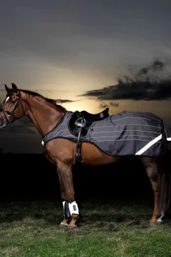 Horseware Amigo Reflectech Comp Ratsastusloimi