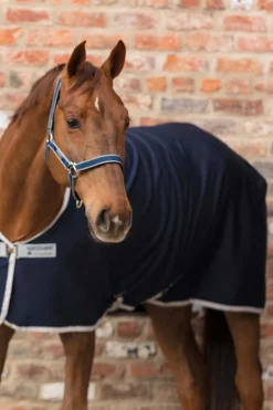 Horseware Amigo Riimu