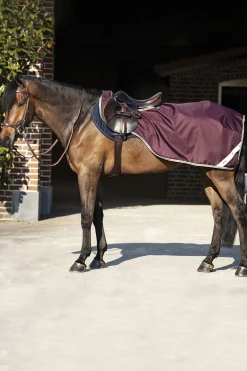 Horseware Amigo Ripstop Comp Sheet -Verryttelyloimi