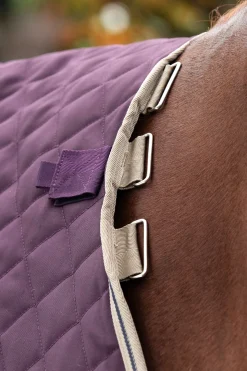 Horseware Amigo Stable Plus Med Disc Talliloimi Irrotettavalla Kaulakappaleella, 200 G