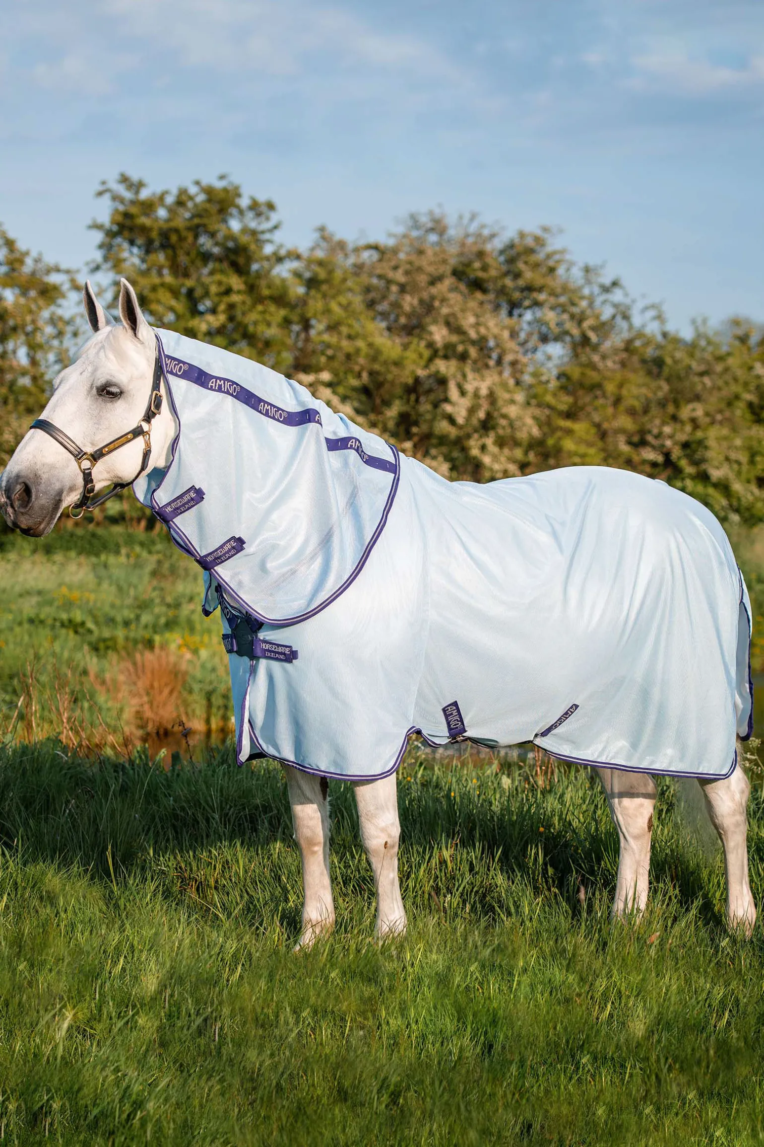 Horseware Amigo Xl Hyonteisloimi