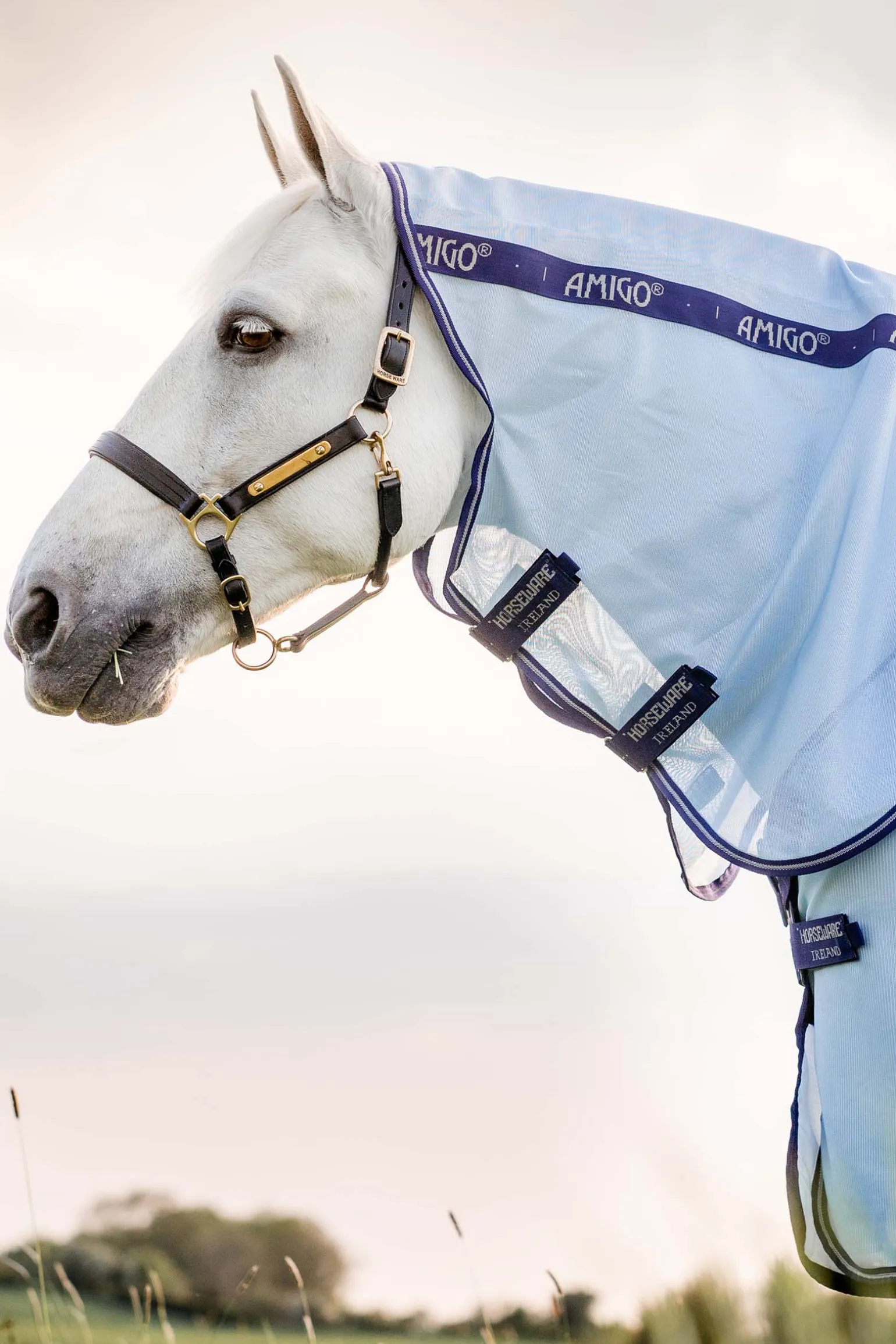Horseware Amigo Xl Hyonteisloimi