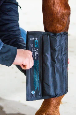 Horseware Ice-Vibe Kylmayssuojat