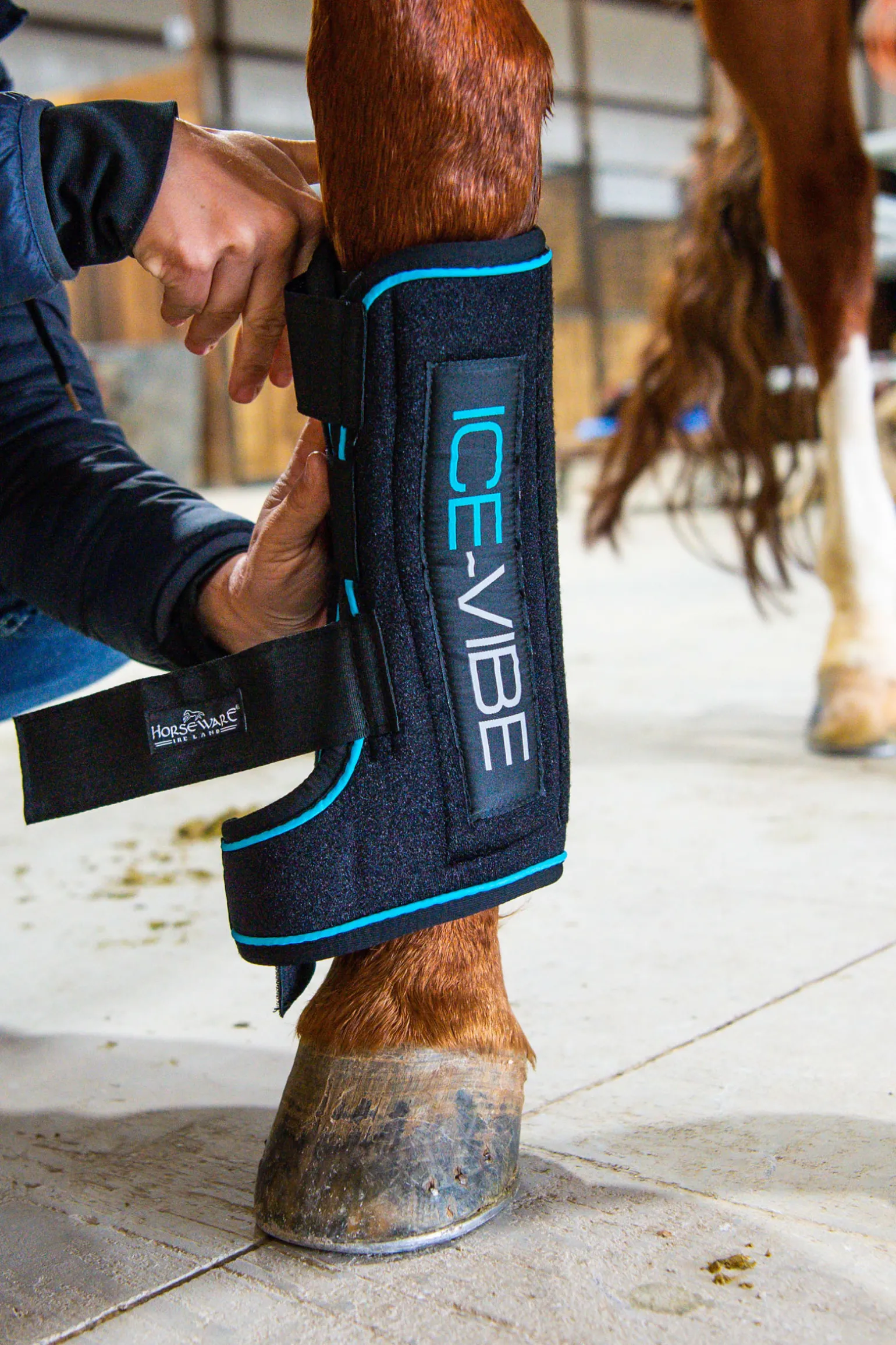 Horseware Ice-Vibe Kylmayssuojat