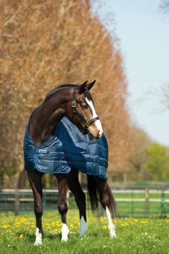 Horseware Irtovuori 300