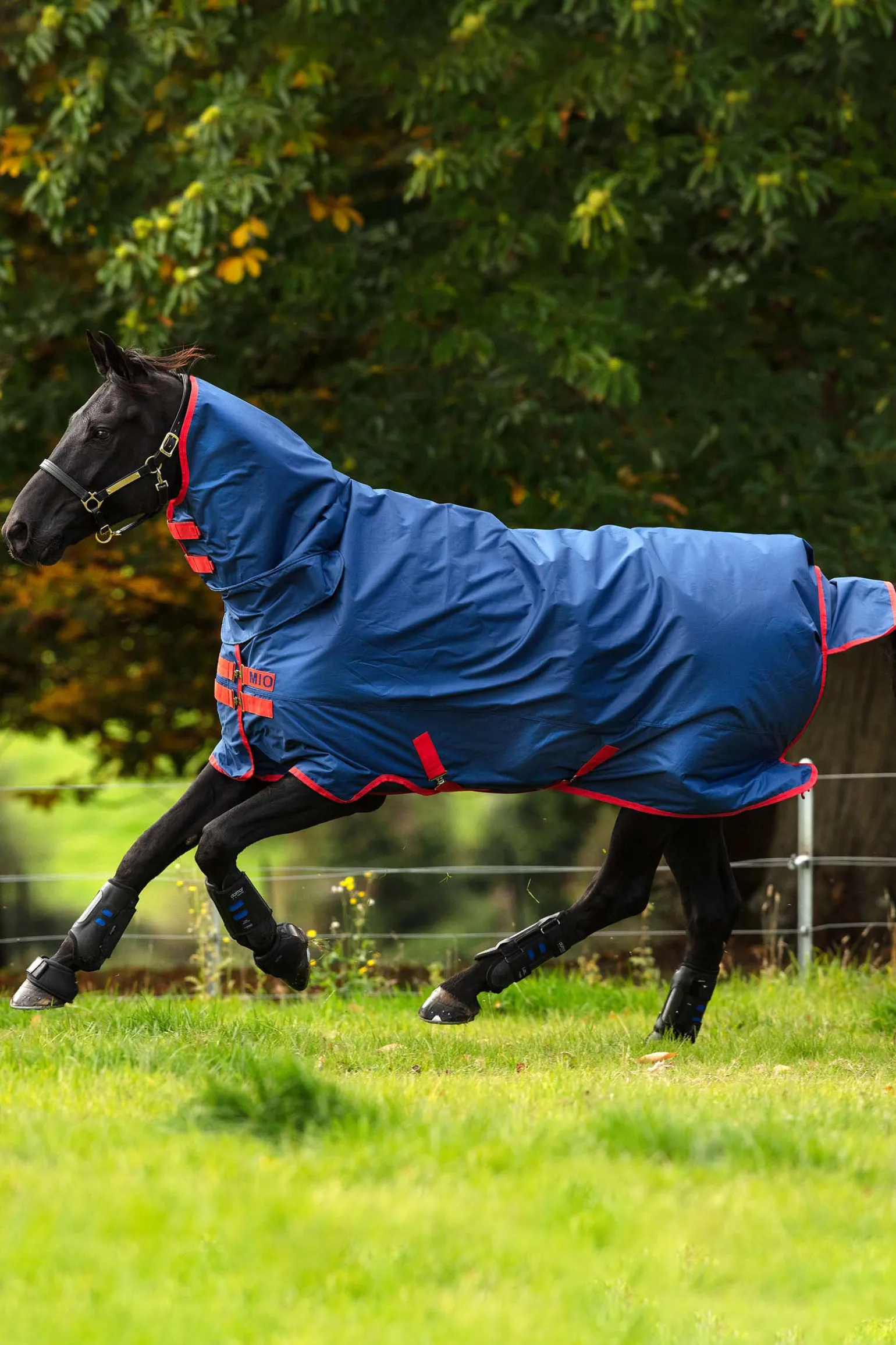 Horseware Mio Ulkoloimi Kiintealla Kaulakappaleella Ja 350 G