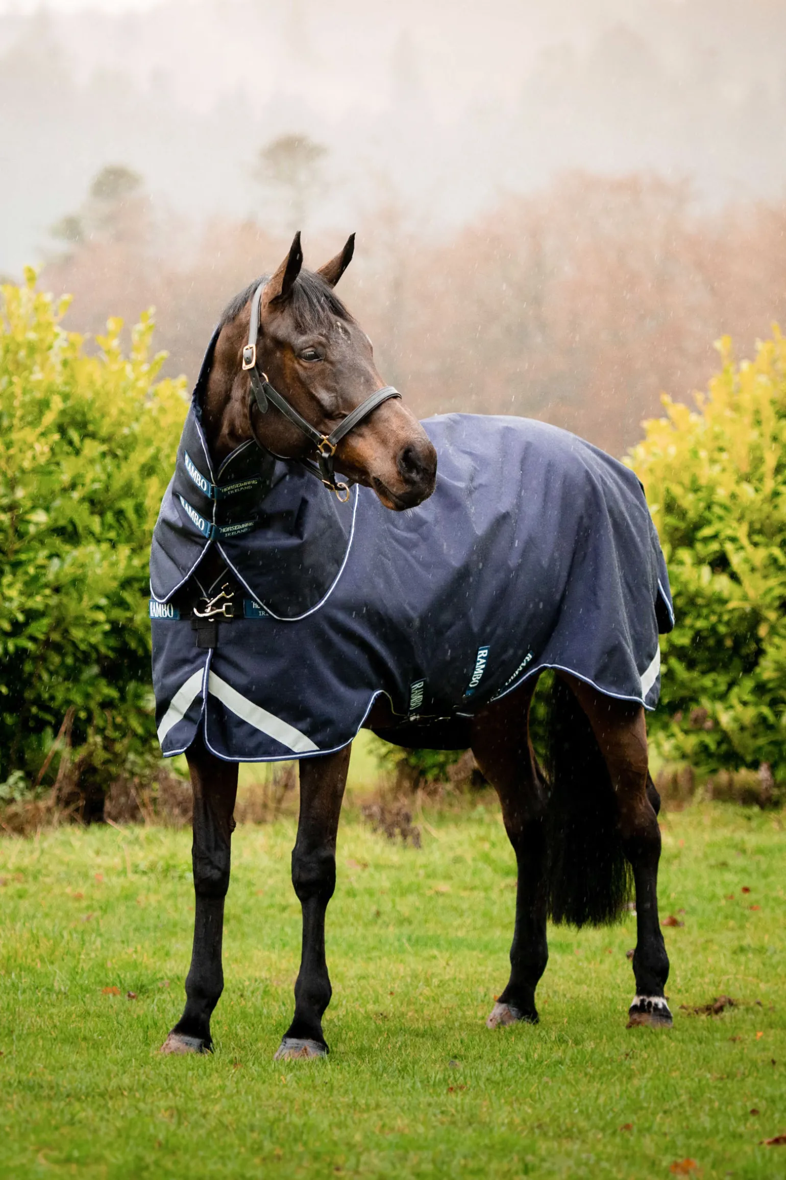 Horseware Rambo Duo Force Ulkoloimi Irrotettavalla Kaulakappaleella, 0 G