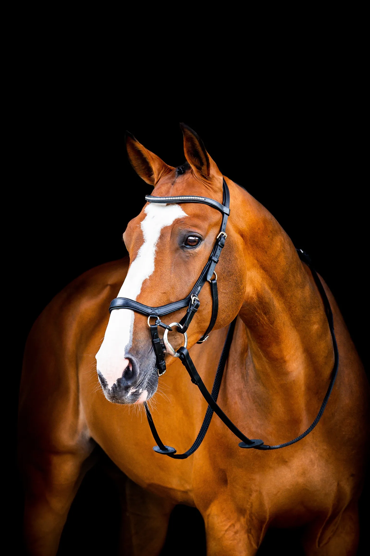 Horseware Rambo Micklem 2 Diamante Competition Suitset