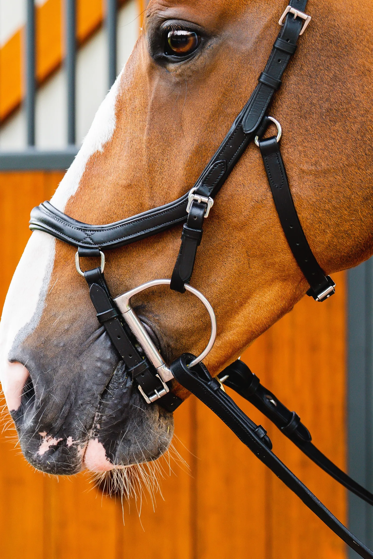 Horseware Rambo Micklem 2 Diamante Competition Suitset