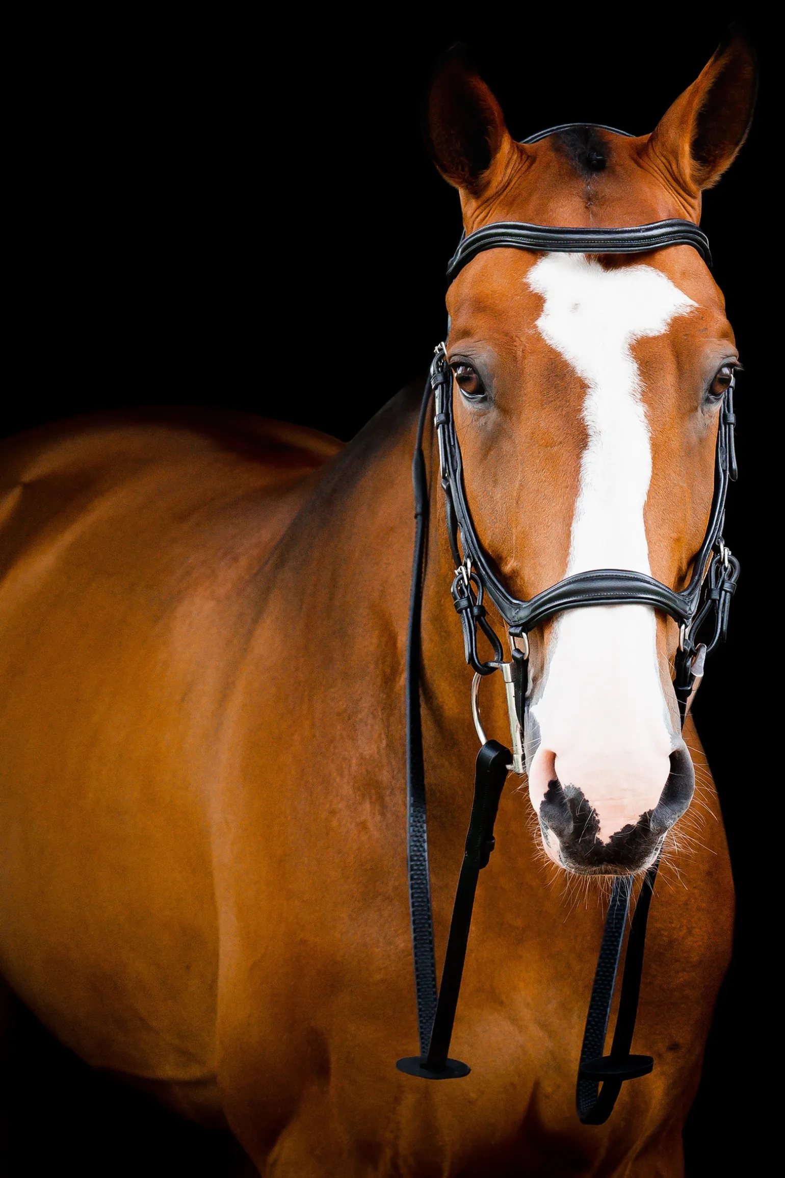 Horseware Rambo Micklem 2 Deluxe Competition Suitset