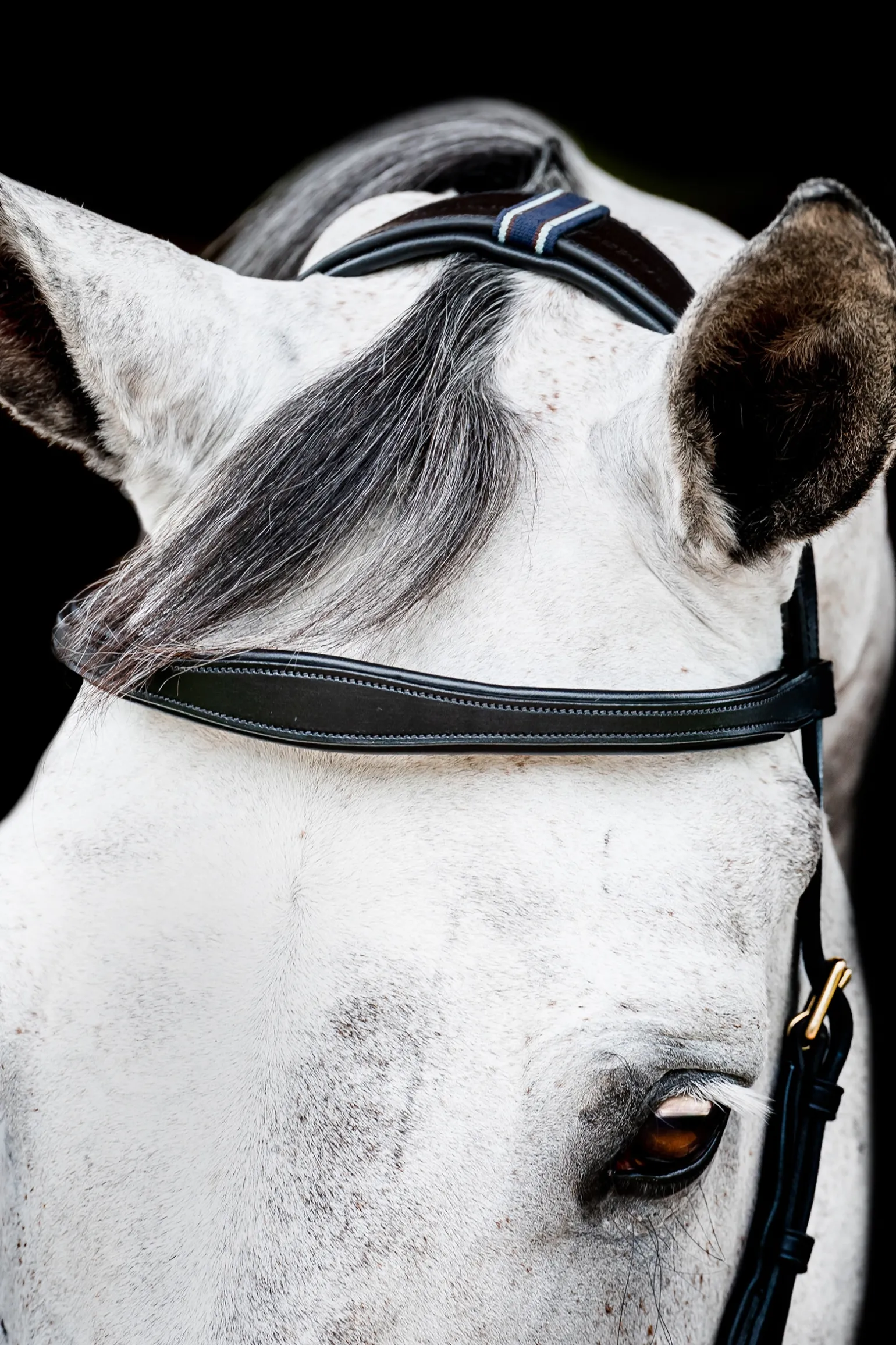 Horseware Rambo Micklem 2 Multi Suitset