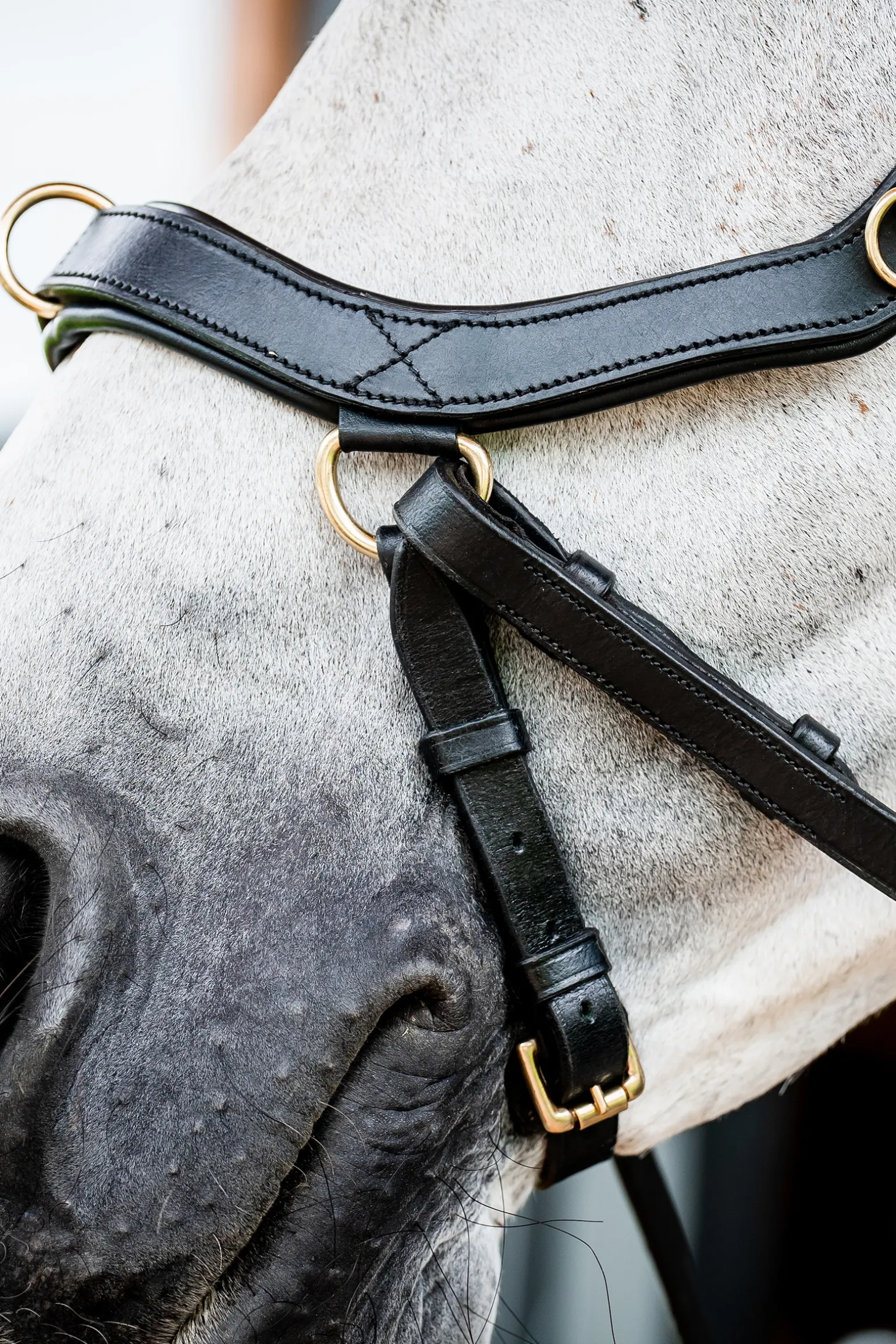 Horseware Rambo Micklem 2 Multi Suitset