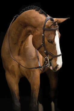 Horseware Rambo Micklem Kilpailusuitset