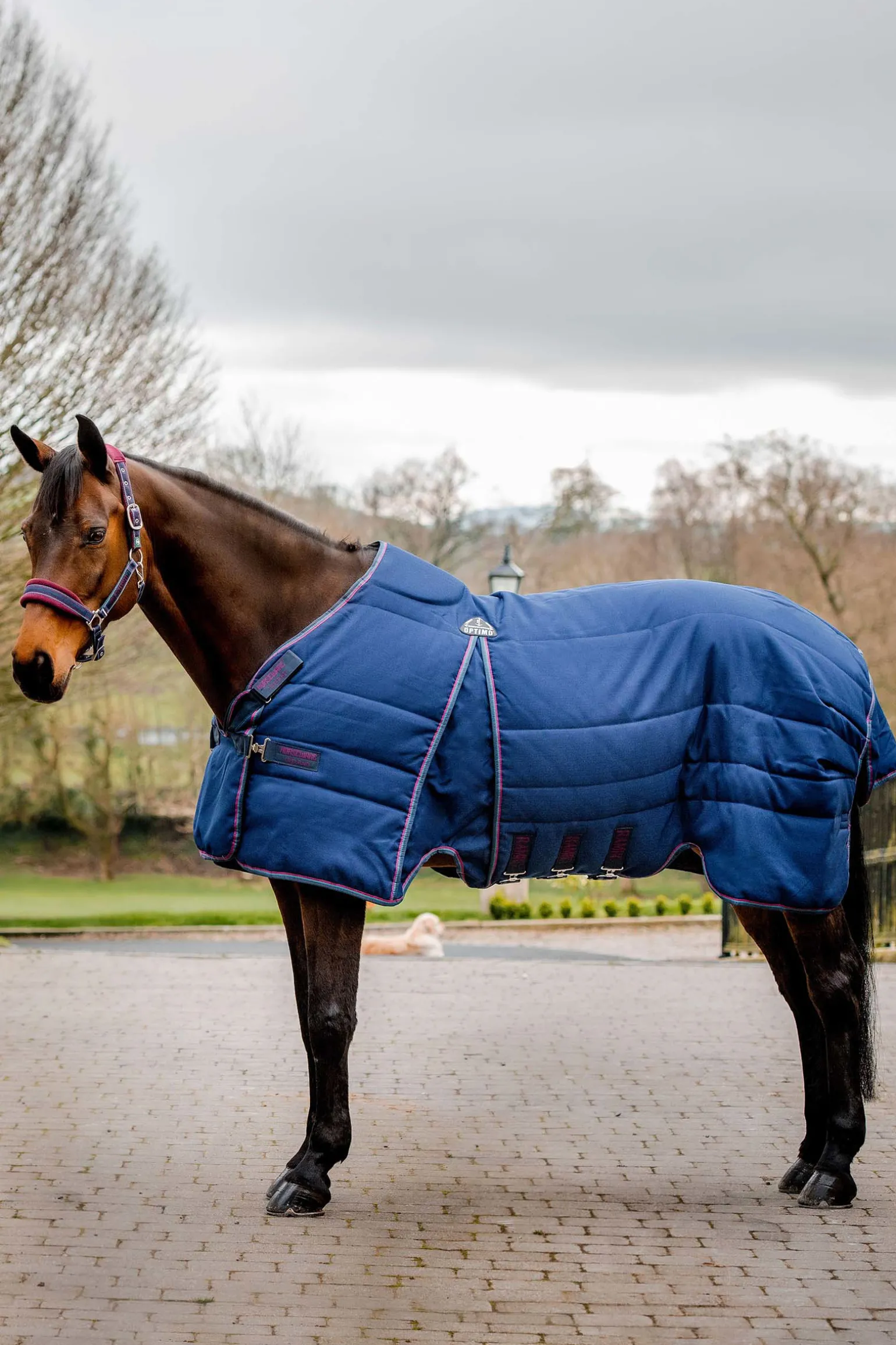 Horseware Rambo Optimo Talliloimi 200 G
