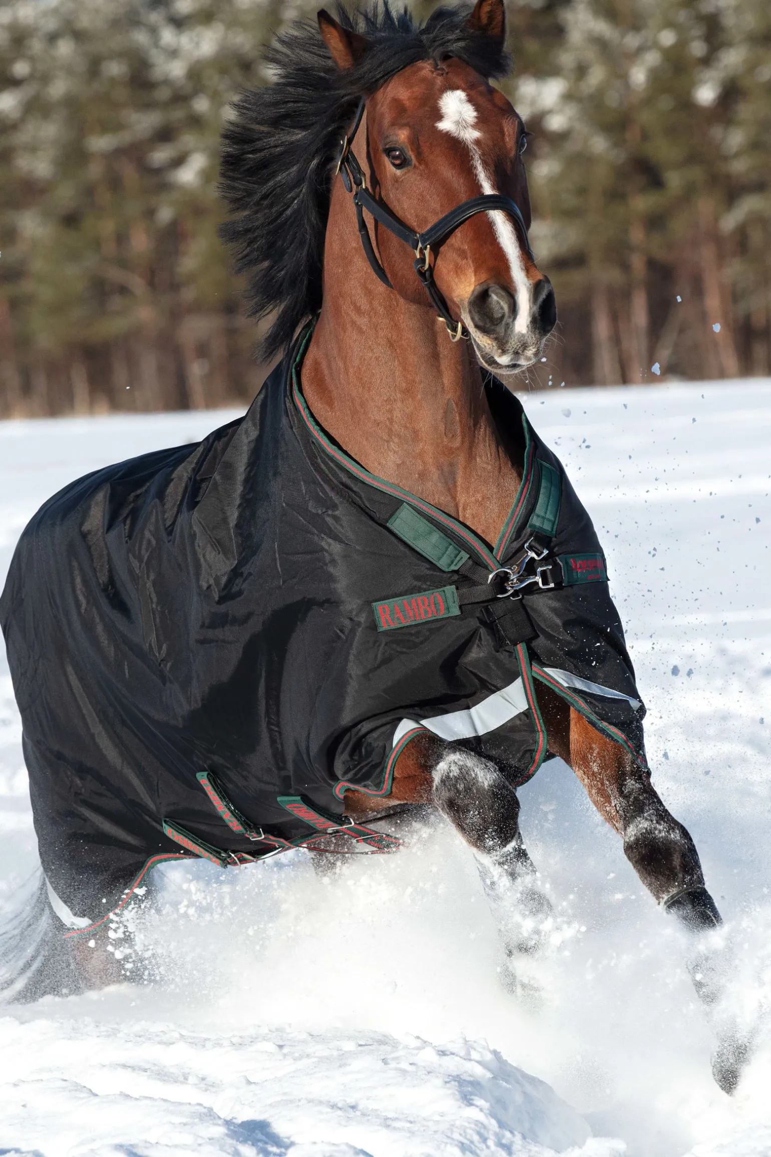 Horseware Rambo Original Ulkoloimi Jalkatiloilla, 200 G