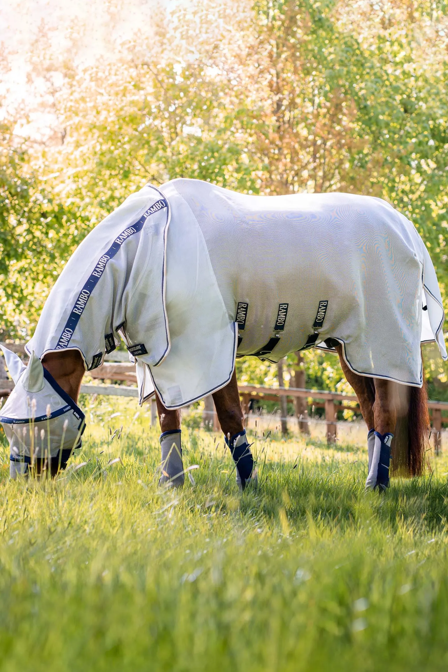Horseware Rambo -Suojaloimi