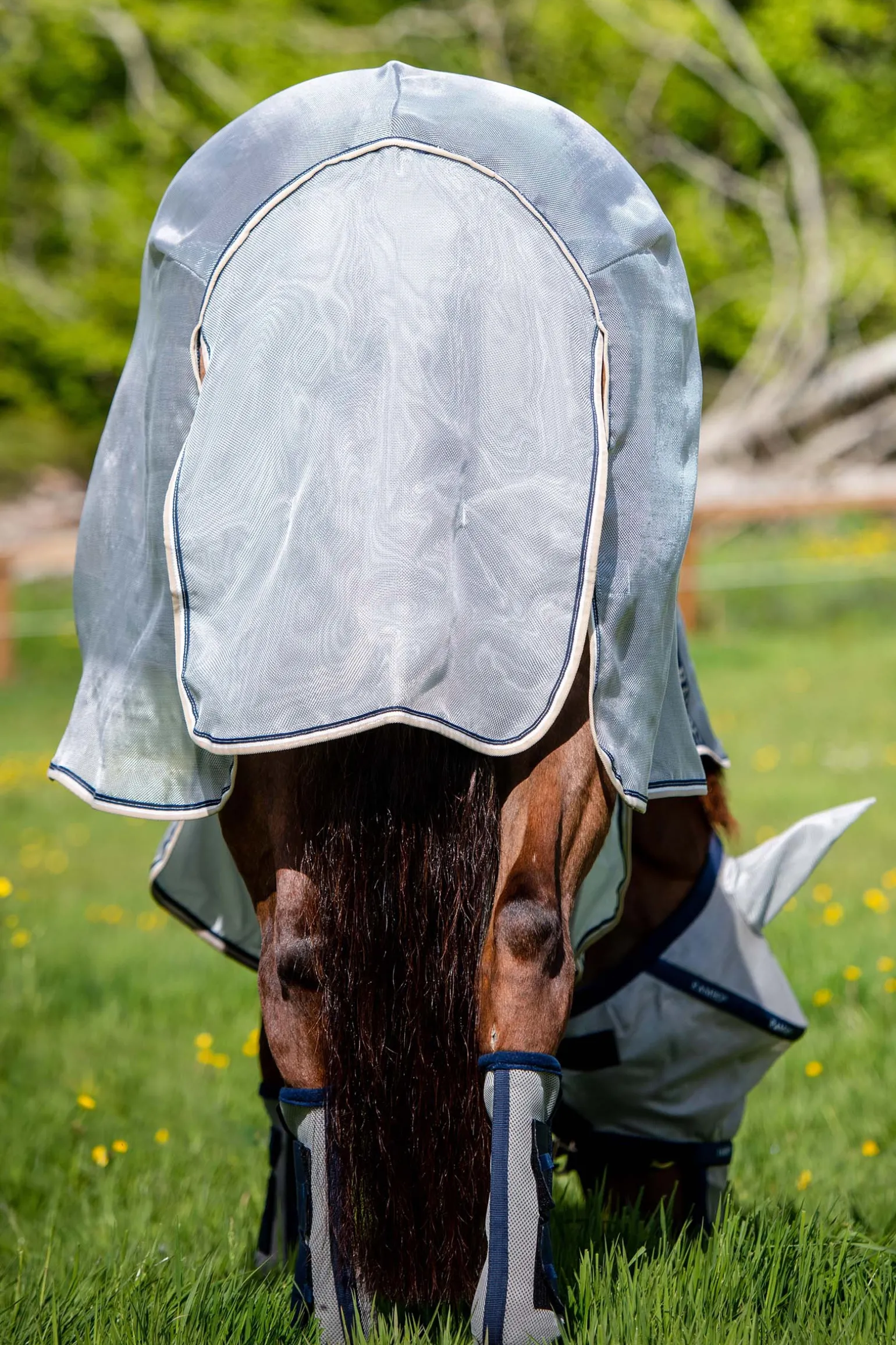 Horseware Rambo -Suojaloimi