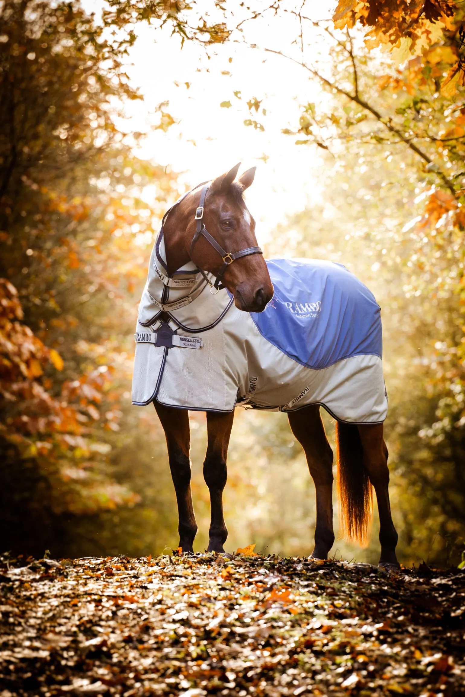 Horseware Rambo Syysmallisto