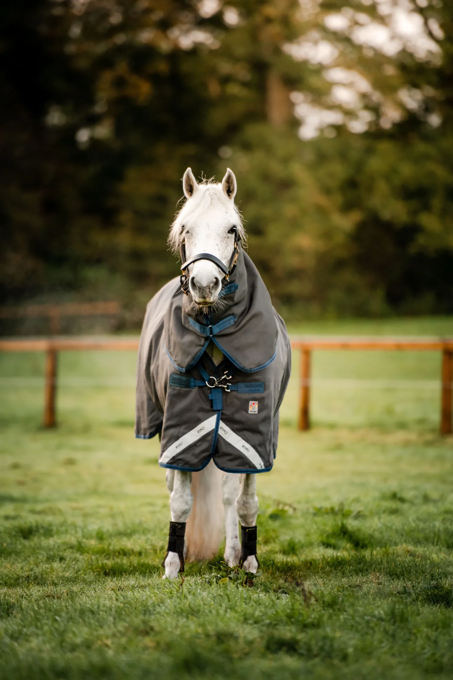 Horseware Rhino Hexstop Plus Vari-Layer Ulkoloimi, 250 G