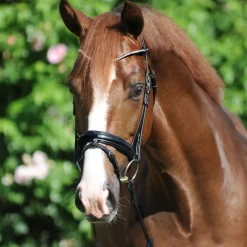 Kavalkade Clinchesse Bridle