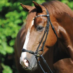 Kavalkade Fiala Bridle