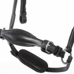 Kavalkade Fiala Bridle