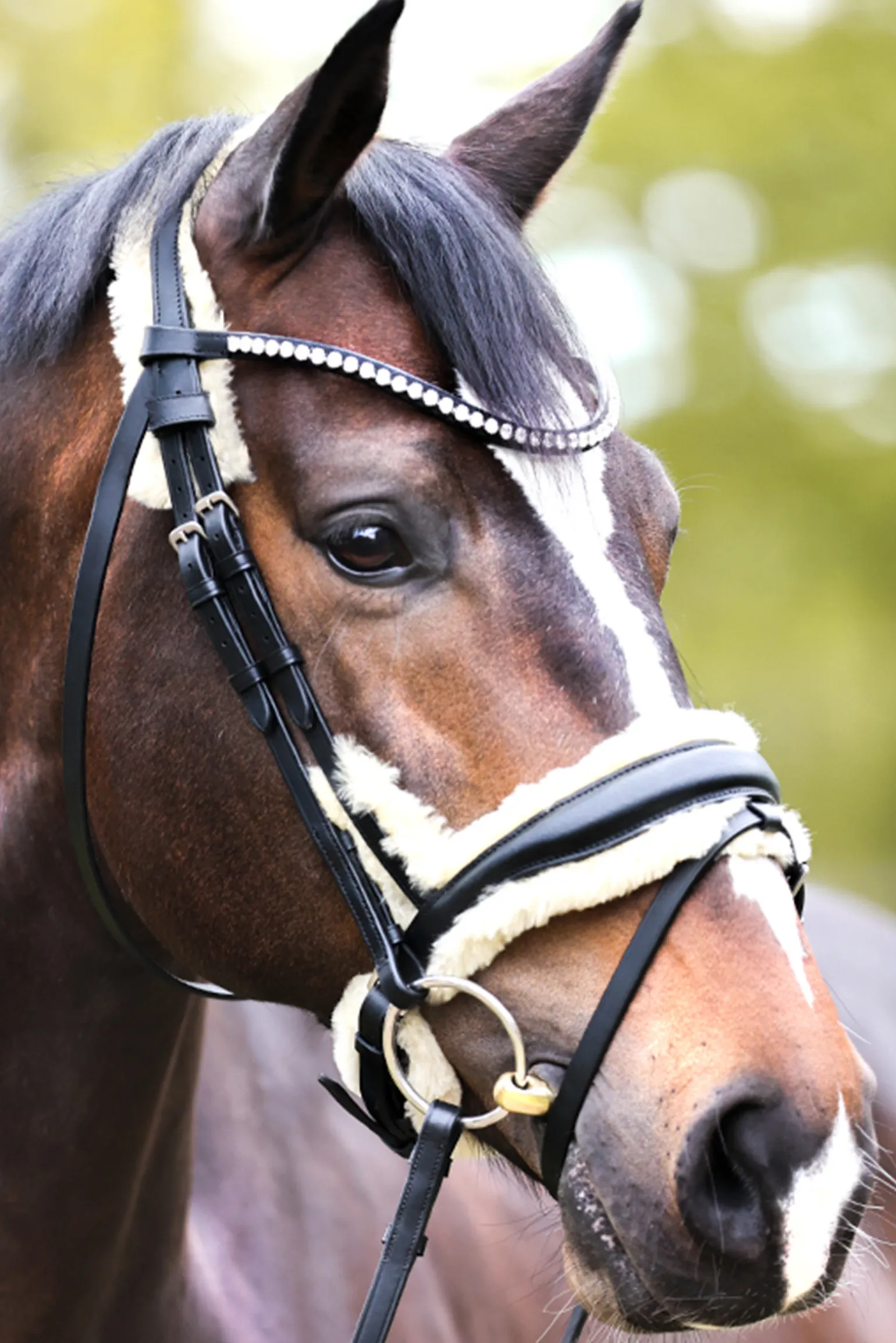 Kavalkade Joyce Kavalsh4 Bridle