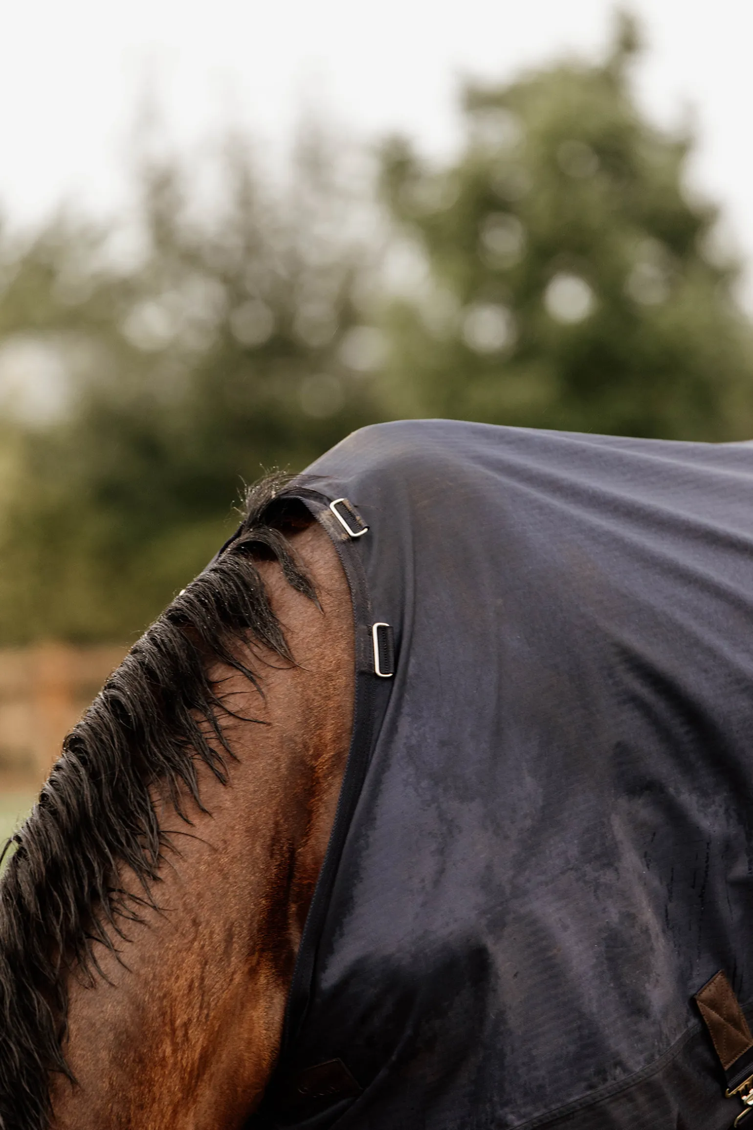 Kentucky Horsewear All Weather Ulkoloimi, 300 G